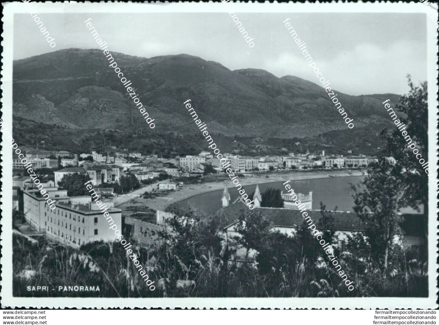 Br85 Cartolina Sapri Panorama Provincia Di  Salerno Campania - Salerno