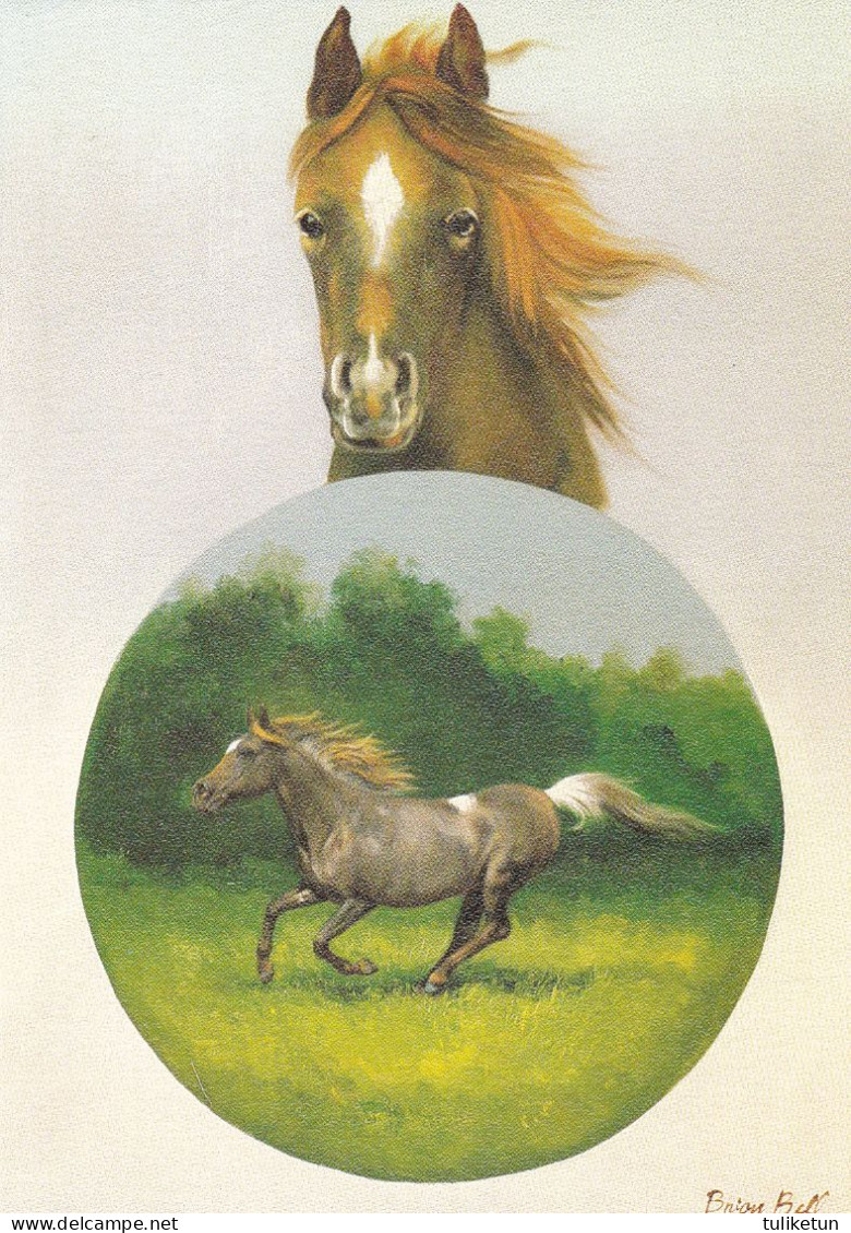 Horse - Cheval - Paard - Pferd - Cavallo - Cavalo - Caballo - Häst - Kunstverlag Deutsch - Chevaux