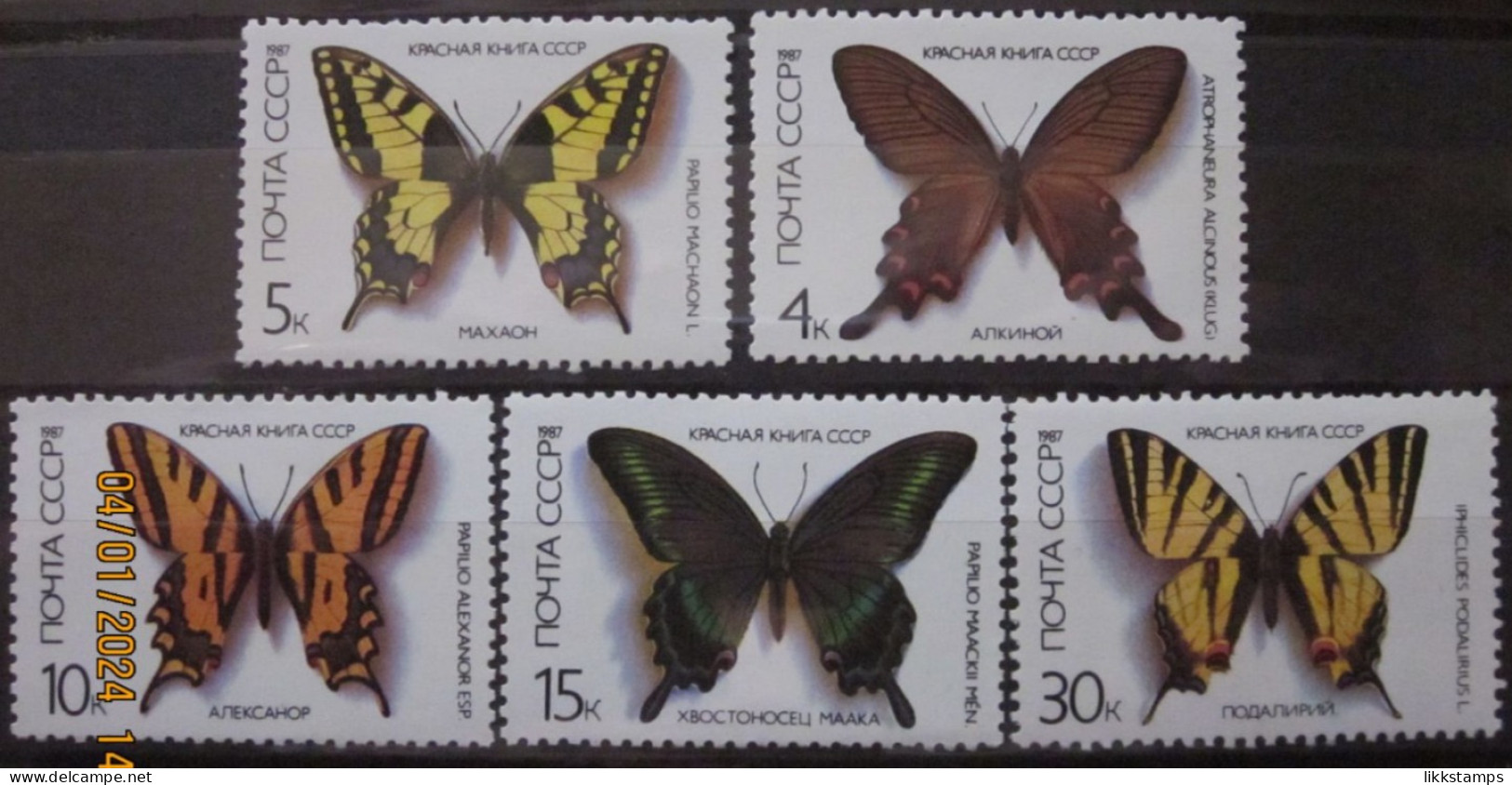 RUSSIA ~ 1987 ~ S.G. NUMBERS 5726 - 5730, ~ BUTTERFLIES AND MOTHS. ~ MNH #03648 - Nuevos