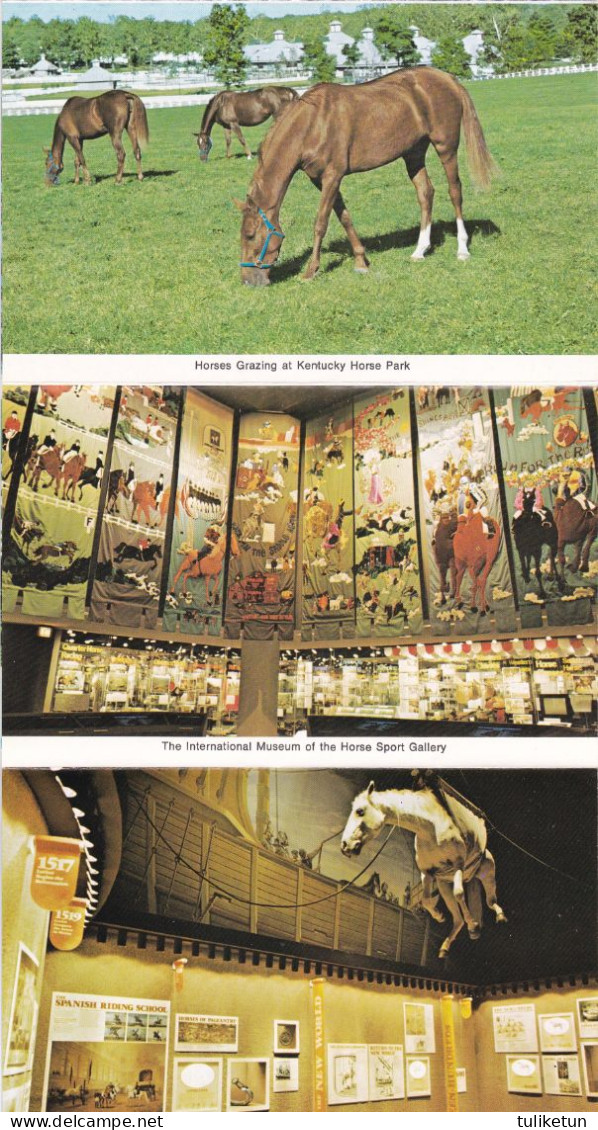Horse - Cheval - Paard - Pferd - Cavallo - Cavalo - Caballo - Häst - Kentucky Horse Park - Cards - Chevaux