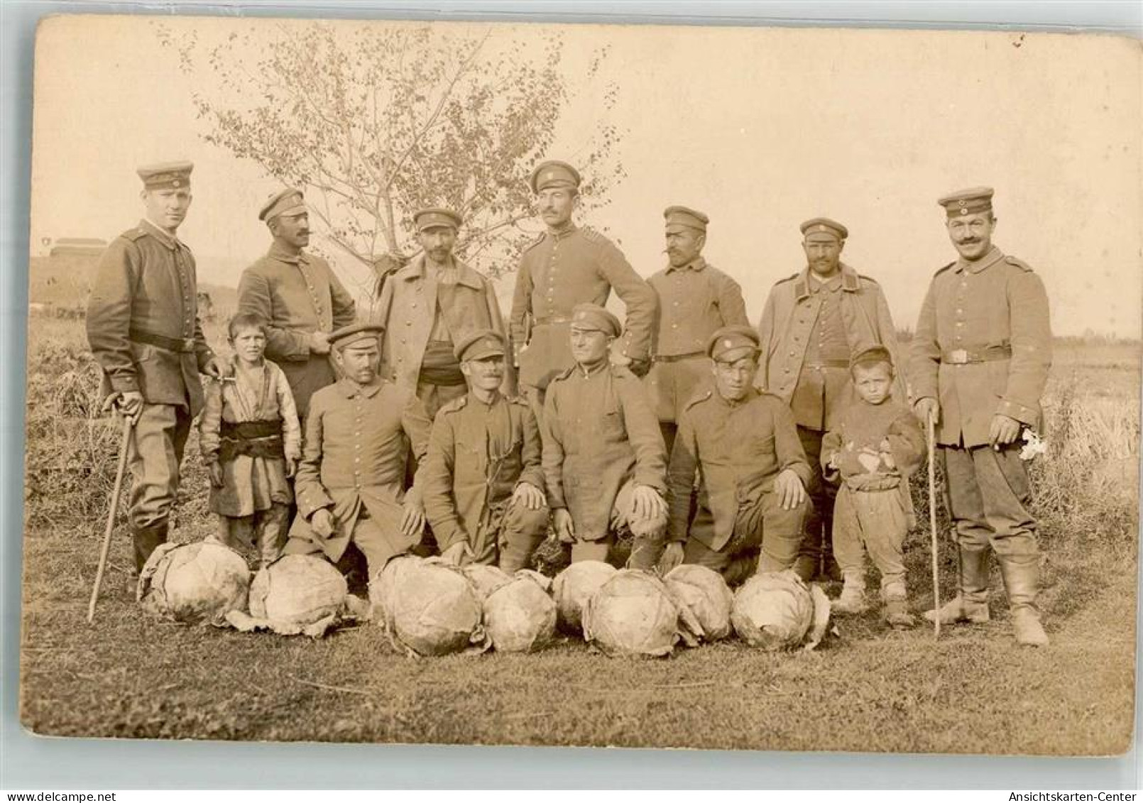 39883811 - Landser In Uniform Bei Der Kohlernte Am Oestlichen Kriegsschauplatz - Guerre 1914-18