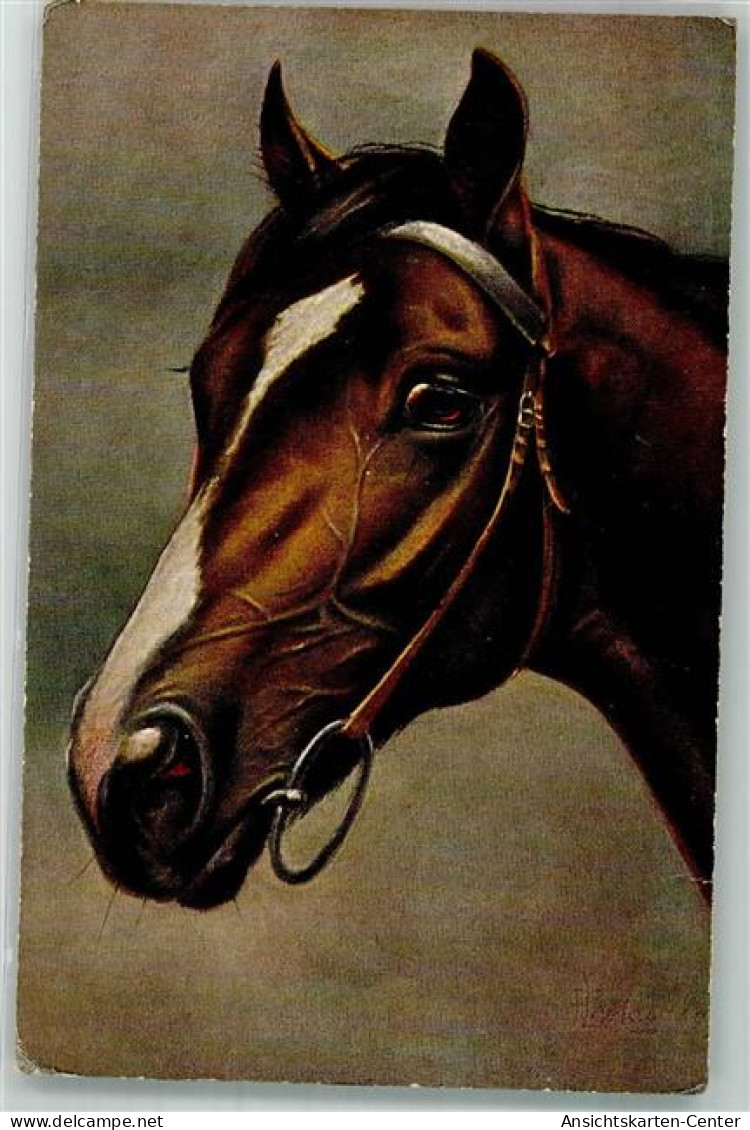 39866211 - Sign. Von Casalanza Franz Lanza Edler Tucks Oilette Nr.342B - Horses