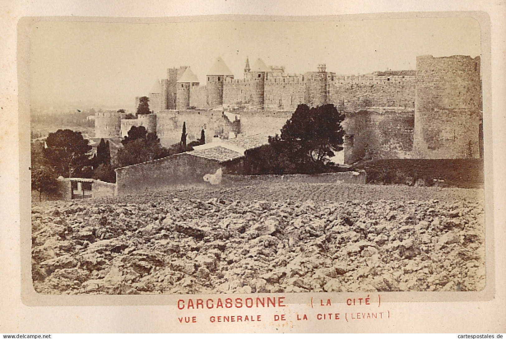 Album Photos 15 Photos,  Vue De Carcassonne, Porte De L`aude, L`Eveque, L`Inquisition, Cahuzac, Chateau, Justice  - Albums & Collections