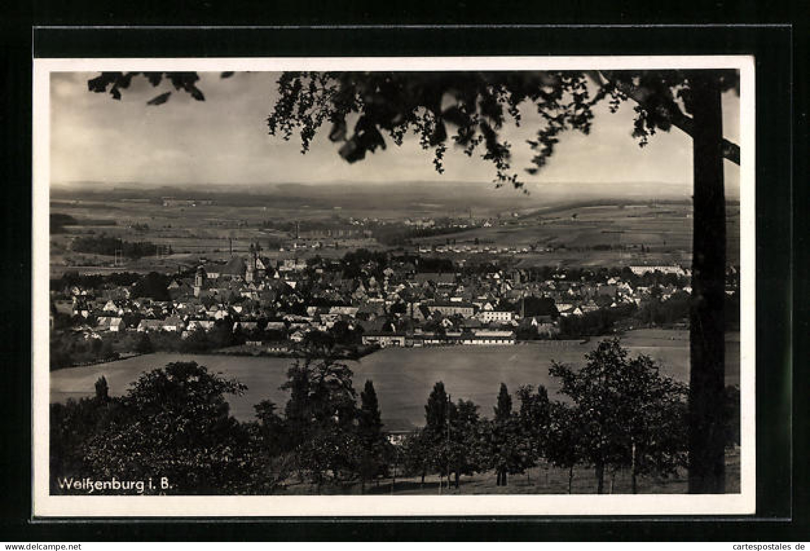 AK Weissenburg In Bayern, Ortsansicht  - Weissenburg