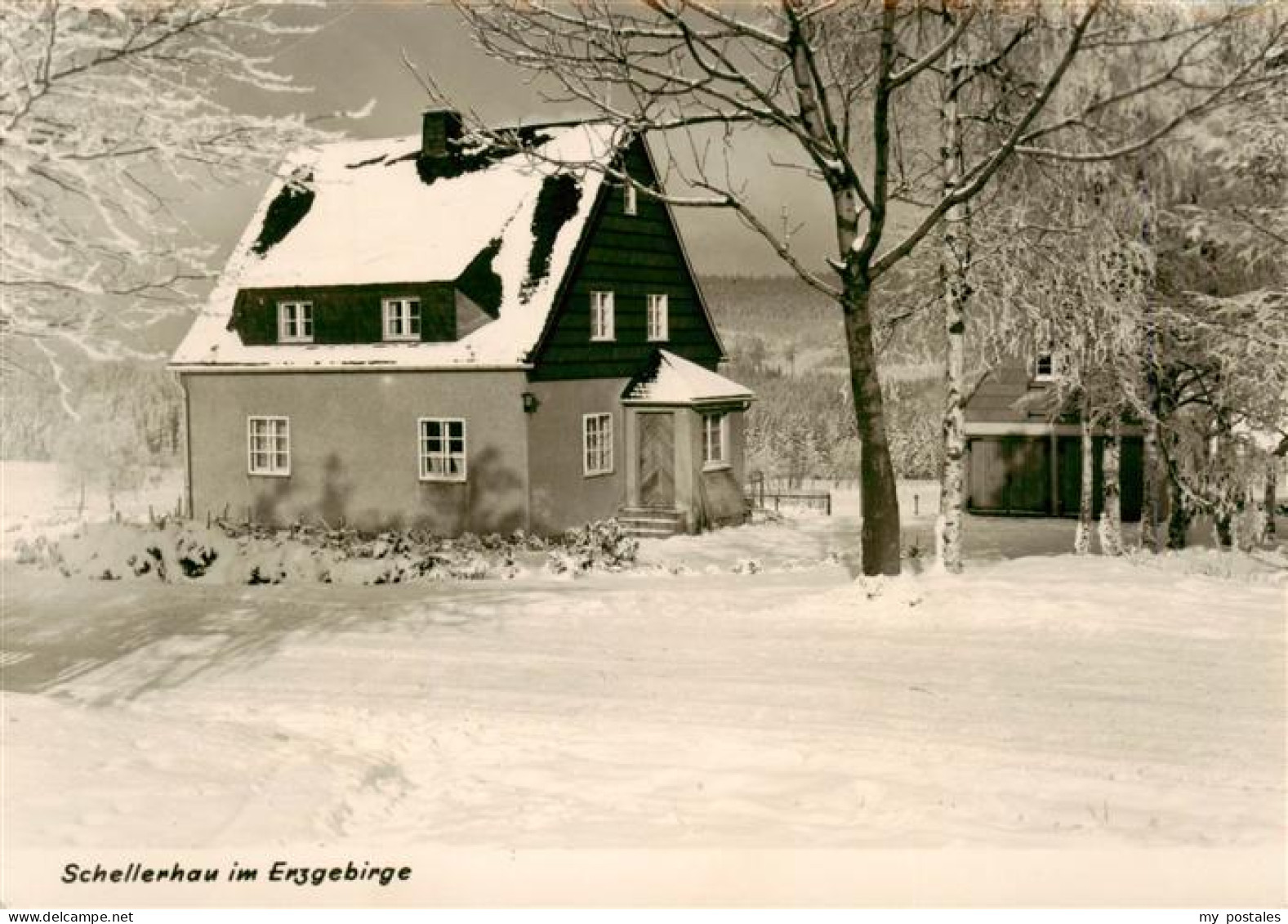 73905528 Schellerhau Winterpanorama - Altenberg