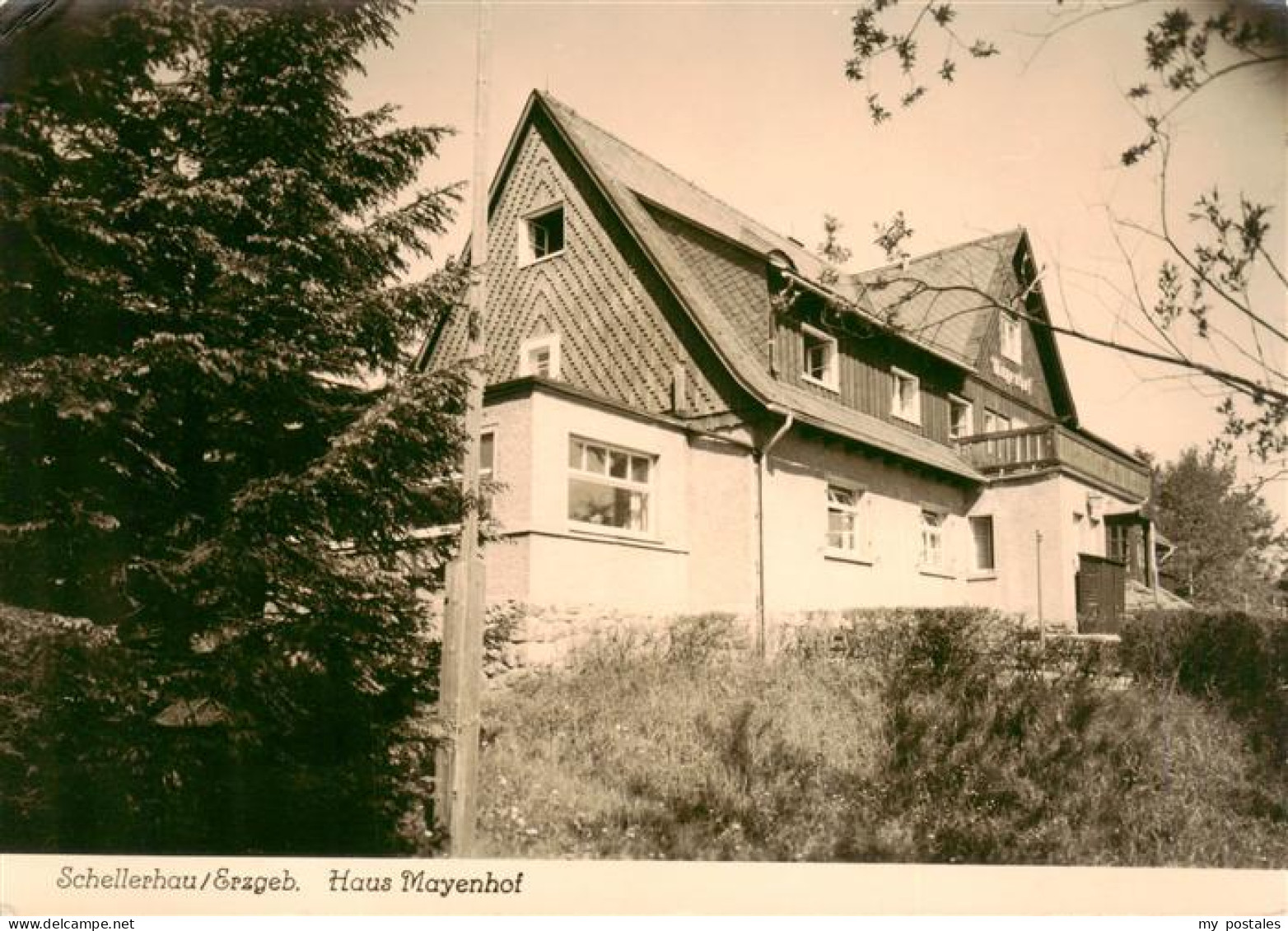 73905527 Schellerhau Haus Mayenhof - Altenberg