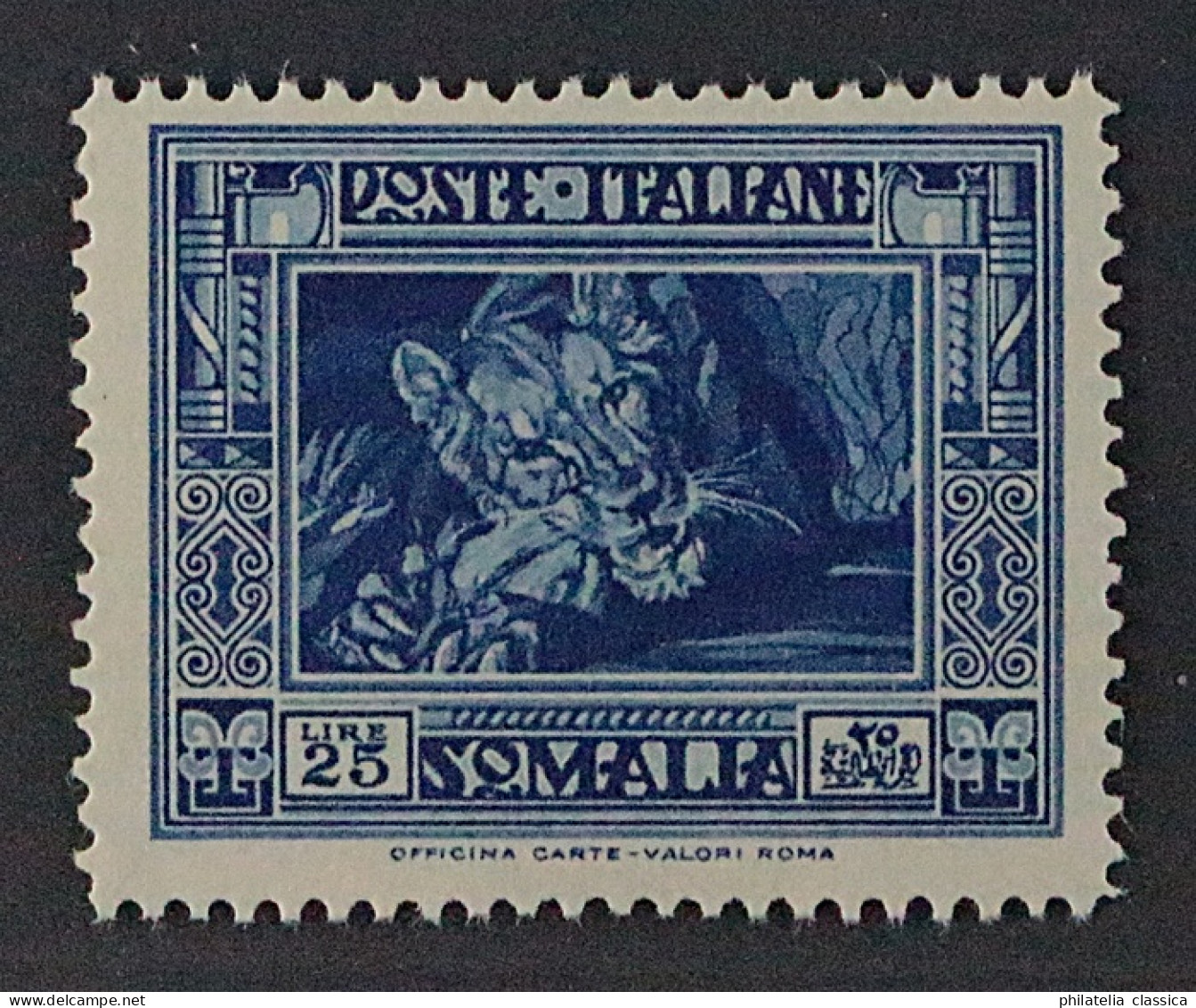 ITALIENISCH SOMALILAND 188 C **  Seltene Zähnung L 14, Postfrisch, KW 1900,- € - Somalie
