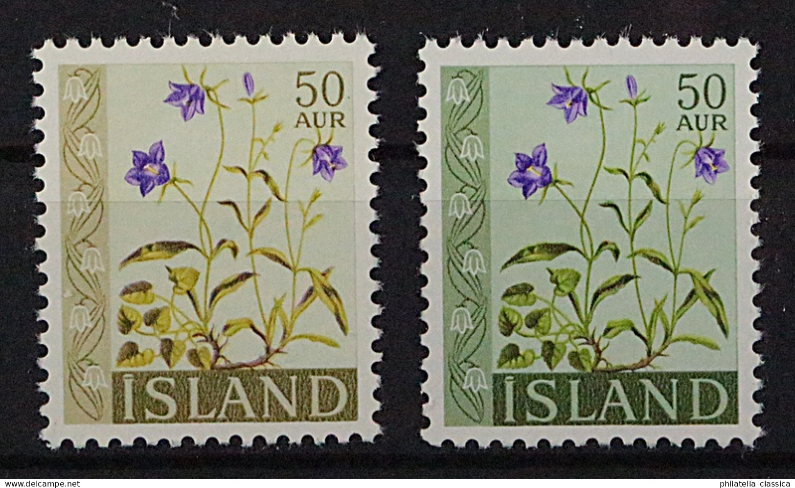 ISLAND 359 F ** Blumen 50 A. Glockenblume, FEHLDRUCK, Sehr SELTEN, Postfrisch, - Unused Stamps