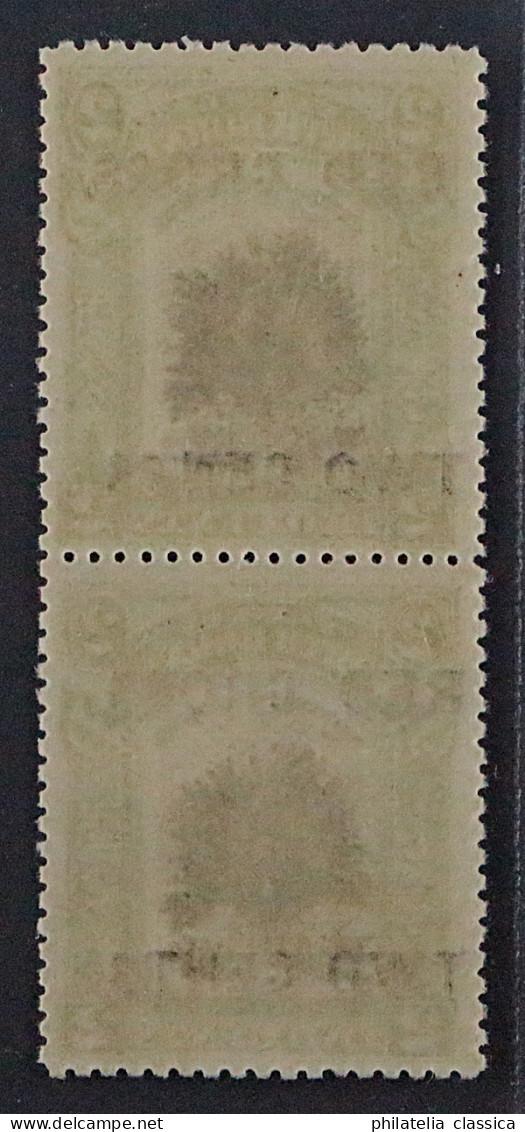 1918, NORDBORNEO 163 II ** Rotes Kreuz, Weiter Abstand, PAAR, Postfrisch, 480,-€ - Bornéo Du Nord (...-1963)