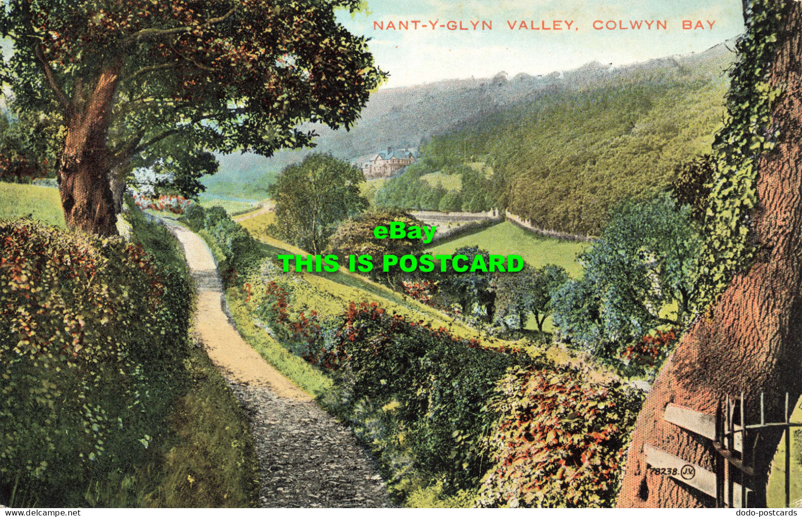 R584327 Colwyn Bay. Nant Y Glyn Valley. Valentine. Colourtone Series - Wereld