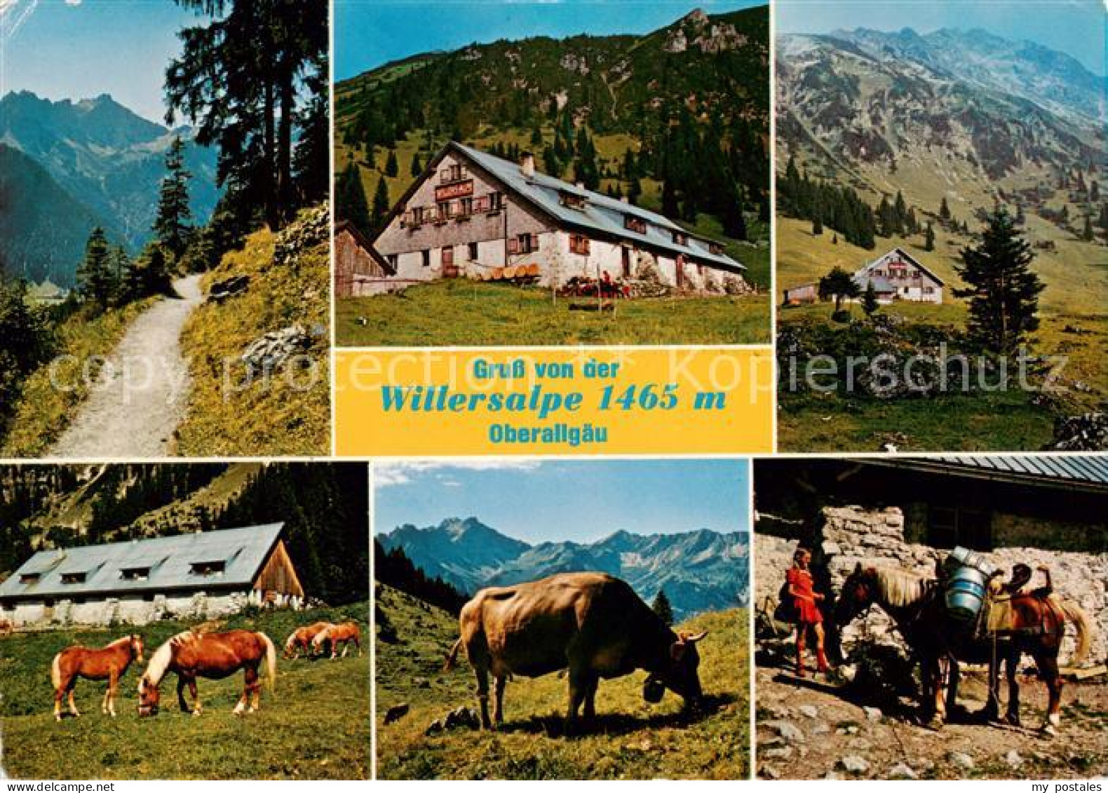 73866430 Hindelang Willersalpe Allgaeuer Alpen Haflinger Pferde Almvieh Hindelan - Hindelang