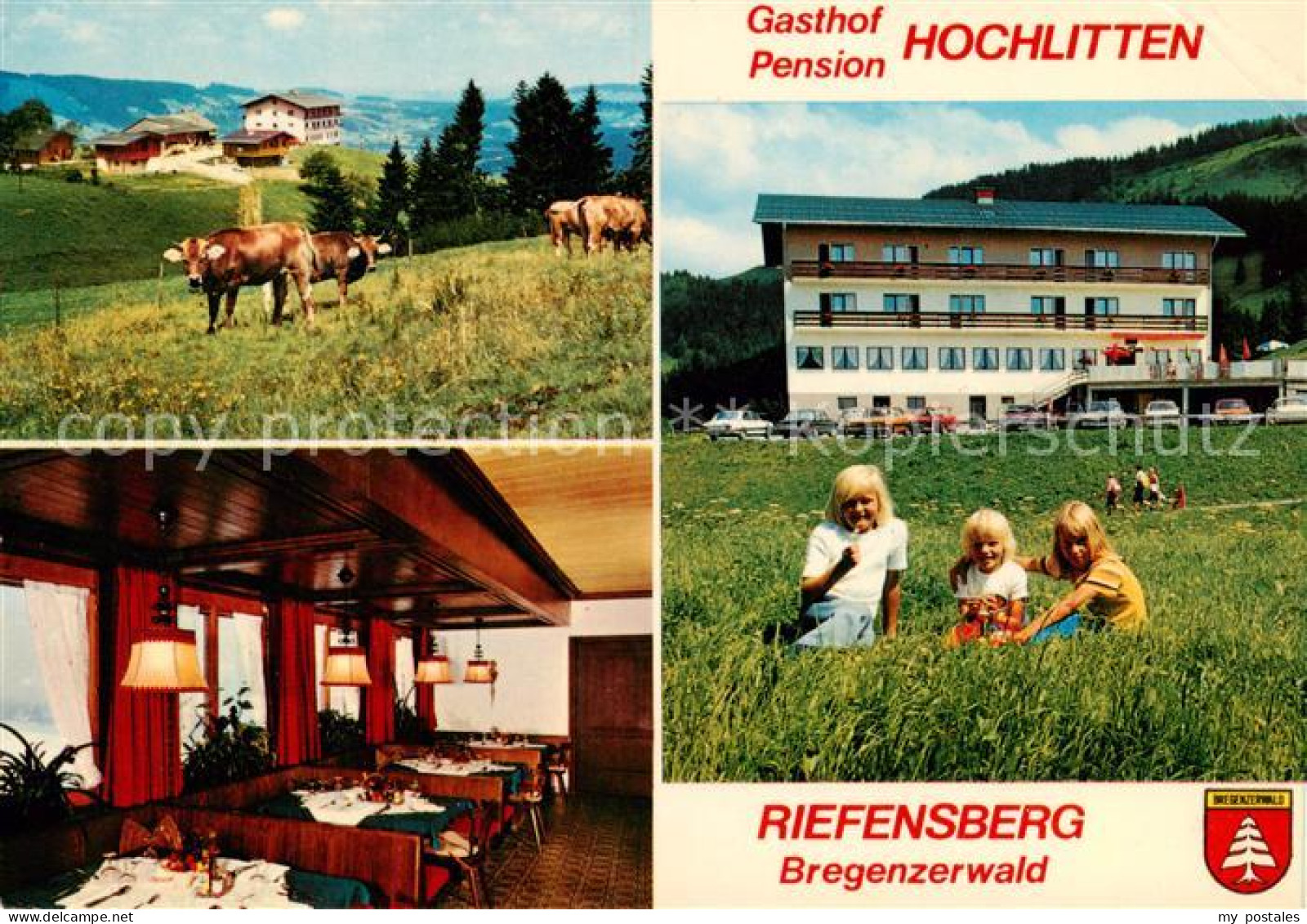 73866410 Riefensberg Gasthof Pension Hochlitten Restaurant Kinder Viehweide Rief - Altri & Non Classificati