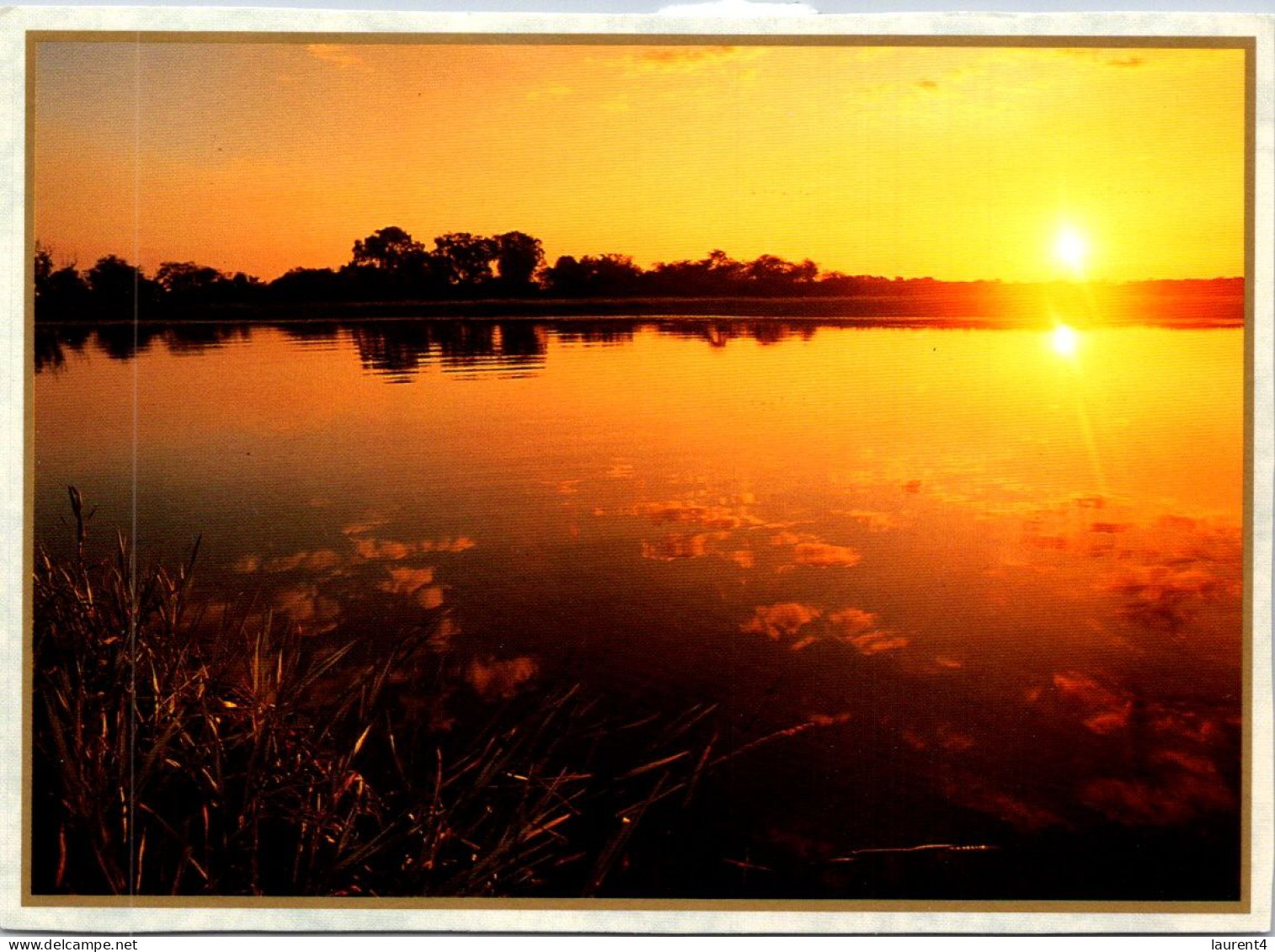 18-5-2024 (5 Z 26) Australia - NT - Yellow Waters Lagoon - Kakadu