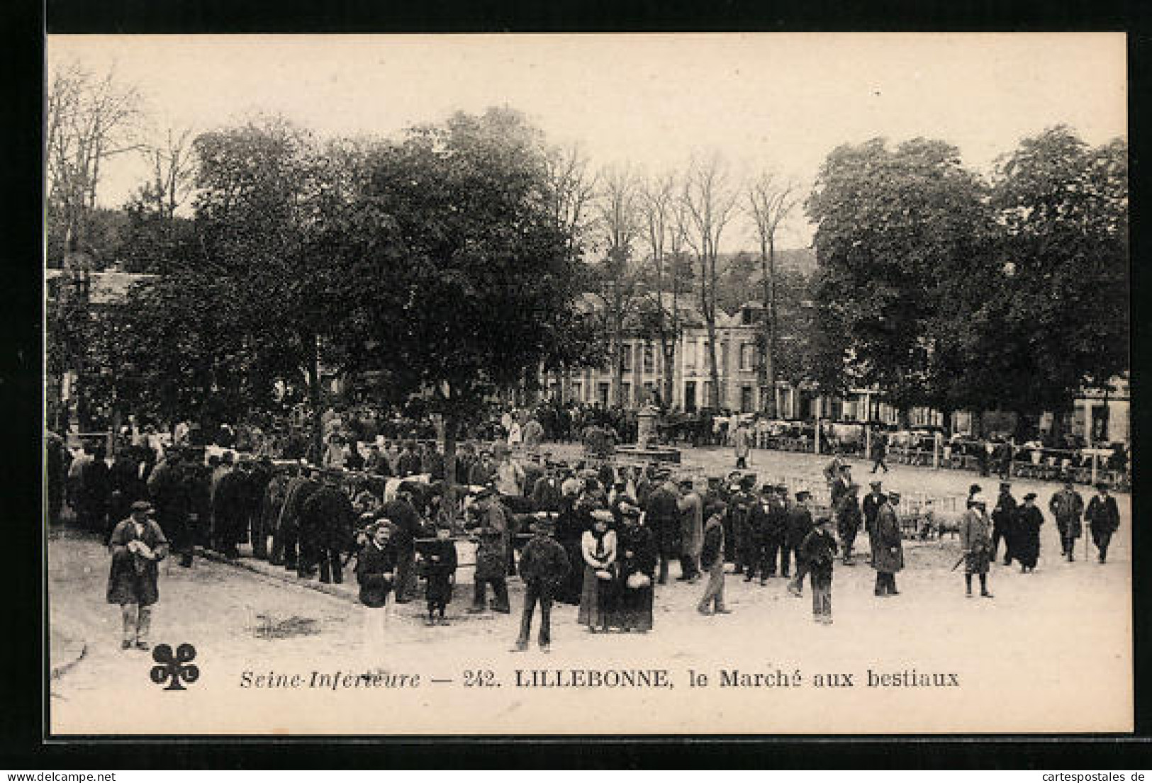 CPA Lillebonne, Le Marché Aux Bestiaux  - Lillebonne
