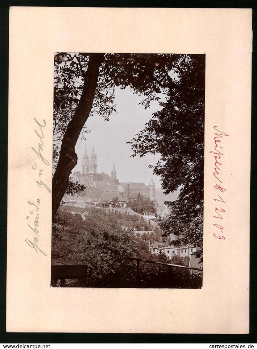 Fotografie Brück & Sohn Meissen, Ansicht Meissen I. Sa., Blick Vom Wald Auf Den Burgberg Mit Albrechtsburg Und Dom  - Lieux