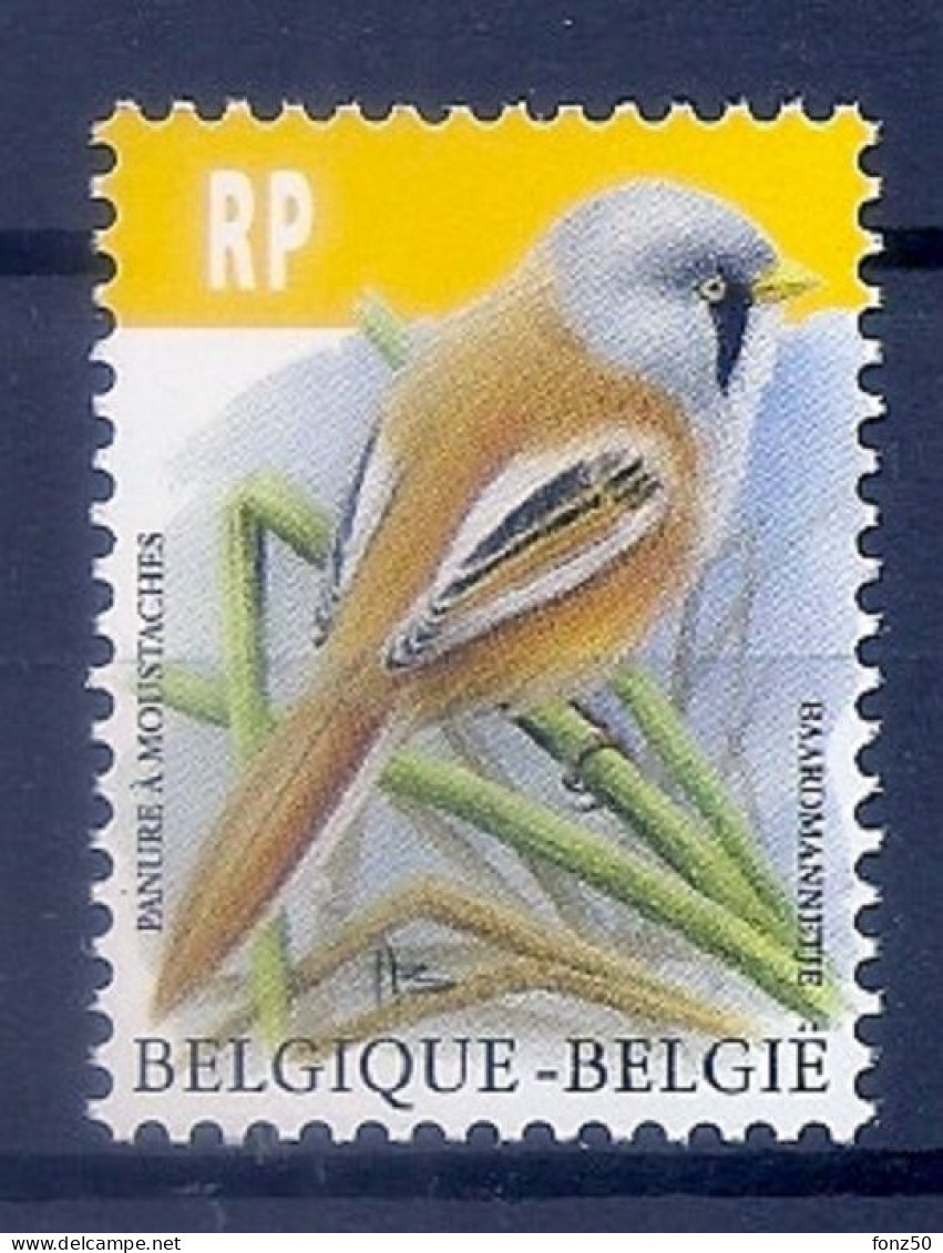 BELGIE * Buzin * Nr 4858 * Postfris Xx * WIT PAPIER - 1985-.. Birds (Buzin)