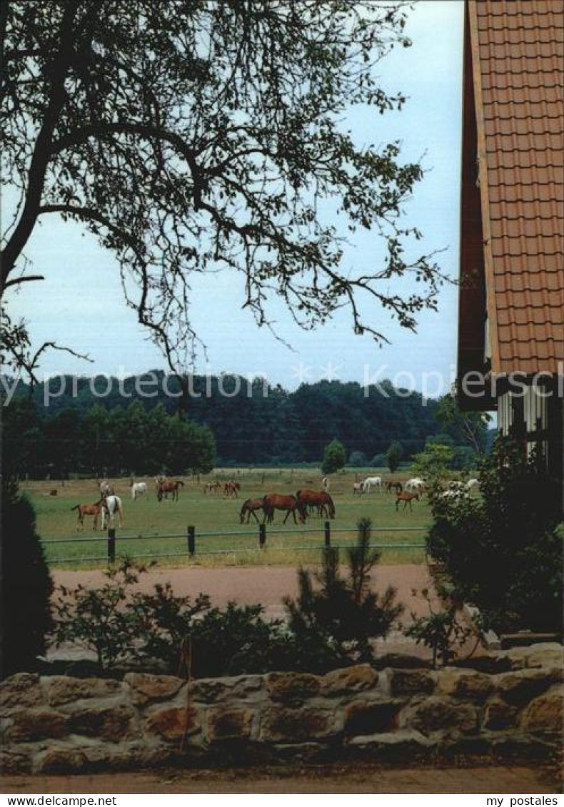 72614246 Stroehen Naturpark Stutenweide Stroehen - Stuhr