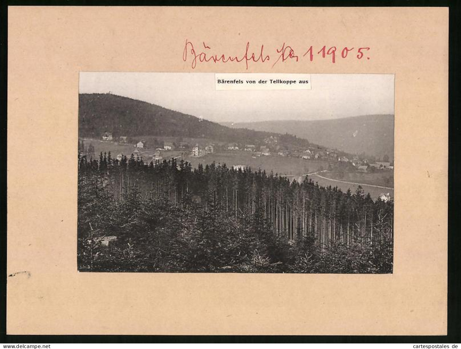 Fotografie Brück & Sohn Meissen, Ansicht Bärenfels, Ortschaft Von Der Tellkoppe Gesehen  - Lieux