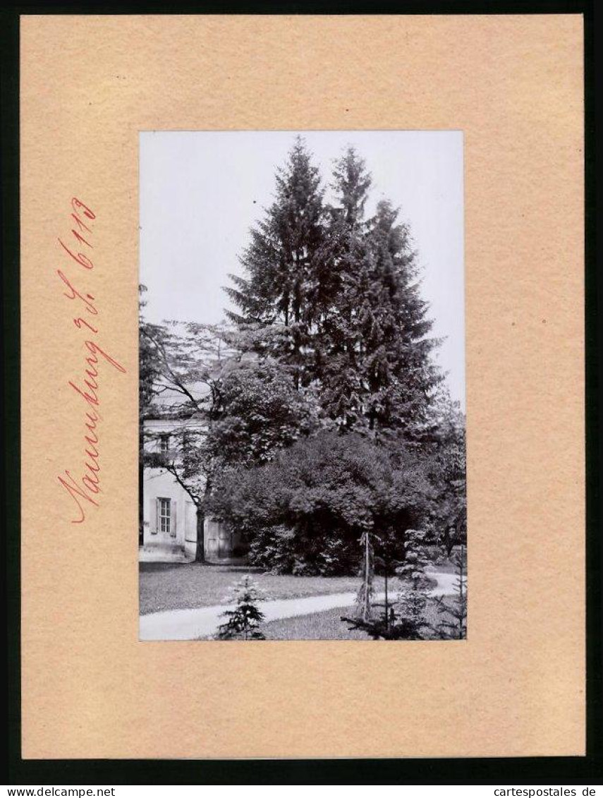 Fotografie Brück & Sohn Meissen, Ansicht Naumburg A. S., Partie Im Bürgergarten  - Lieux