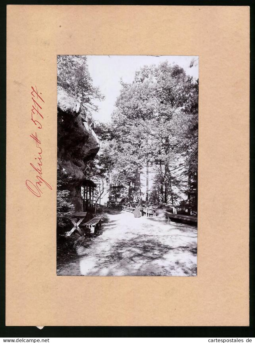 Fotografie Brück & Sohn Meissen, Ansicht Oybin, Rastplatz Am Oberberg  - Places