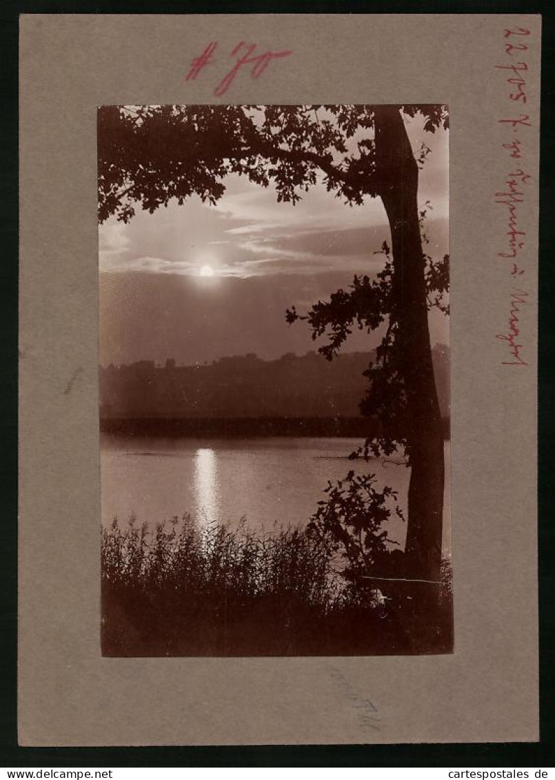 Fotografie Brück & Sohn Meissen, Ansicht Sachsenburg, Idyllischer Seeblick Bei Dämmerung  - Lieux