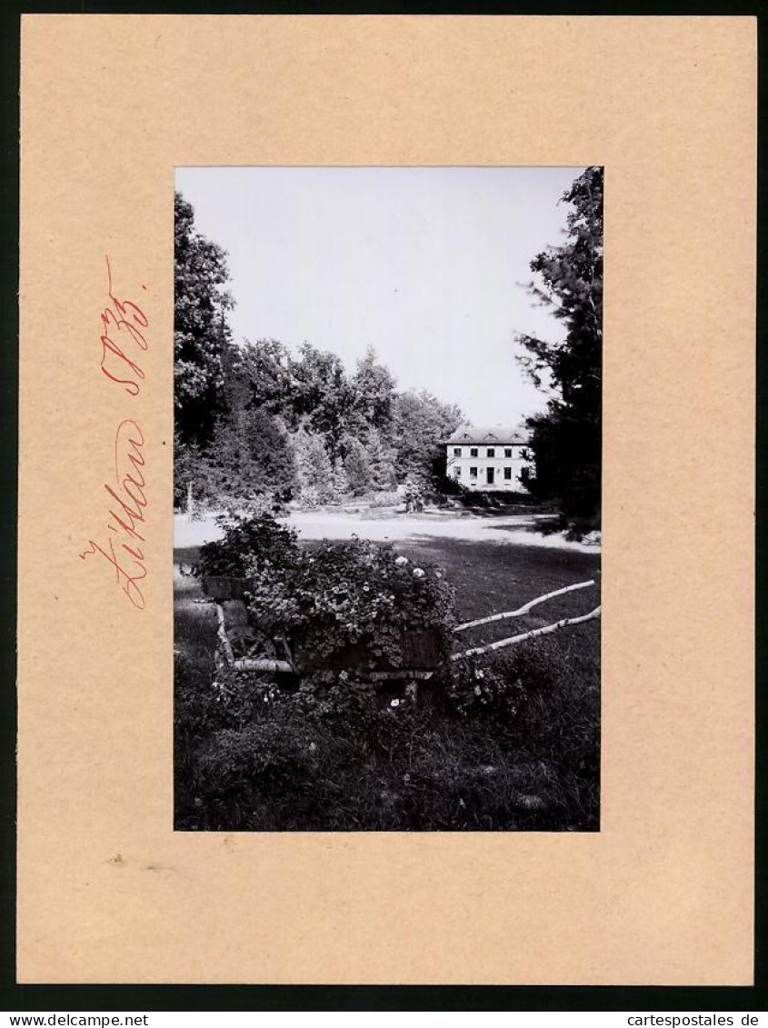 Fotografie Brück & Sohn Meissen, Ansicht Zittau I. Sa., Weinau Mit Blumenbeet  - Lieux