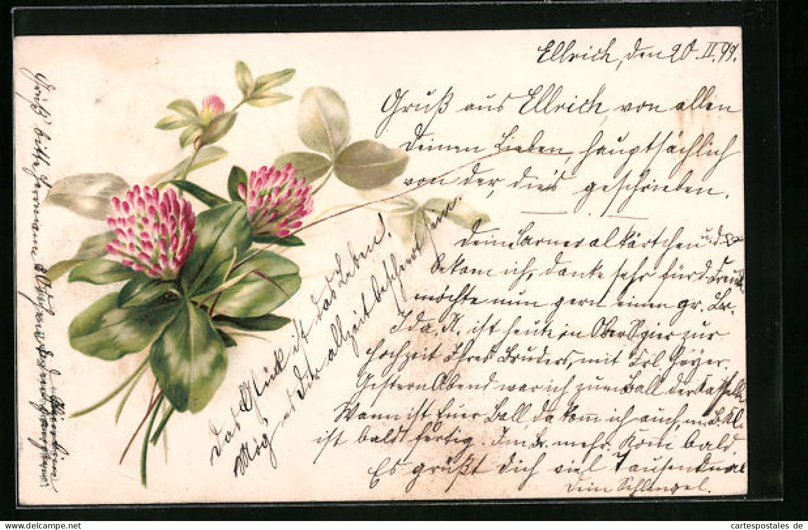 Lithographie Kleeblätter Mit Blüten  - Autres & Non Classés