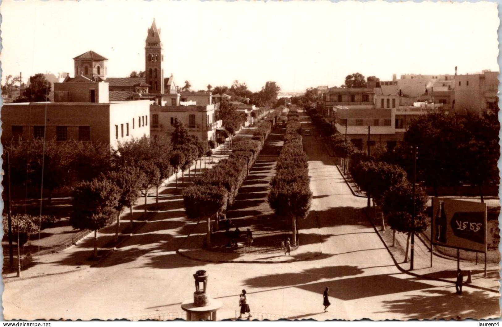 18-5-2024 (5 Z 28) Egypt (b/w Very Old) Ismalia Avenue Of Imperatrice - Ismailia