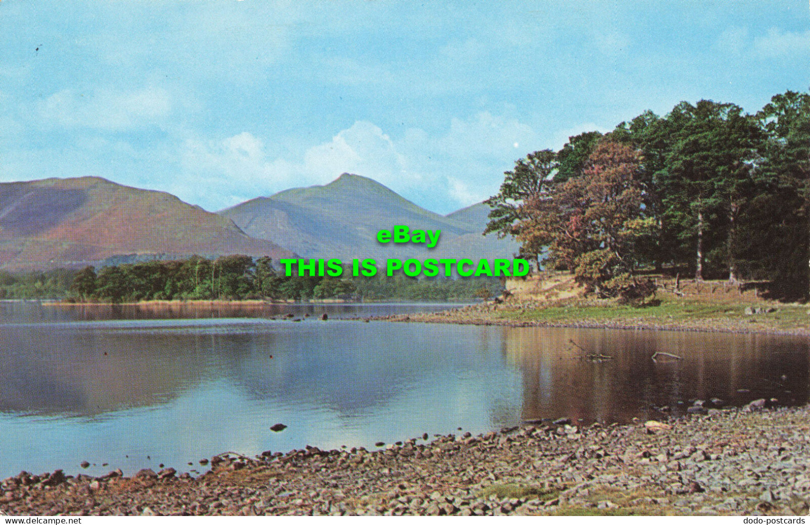 R584521 Derwentwater And Causey Pike. H. Webster - Monde