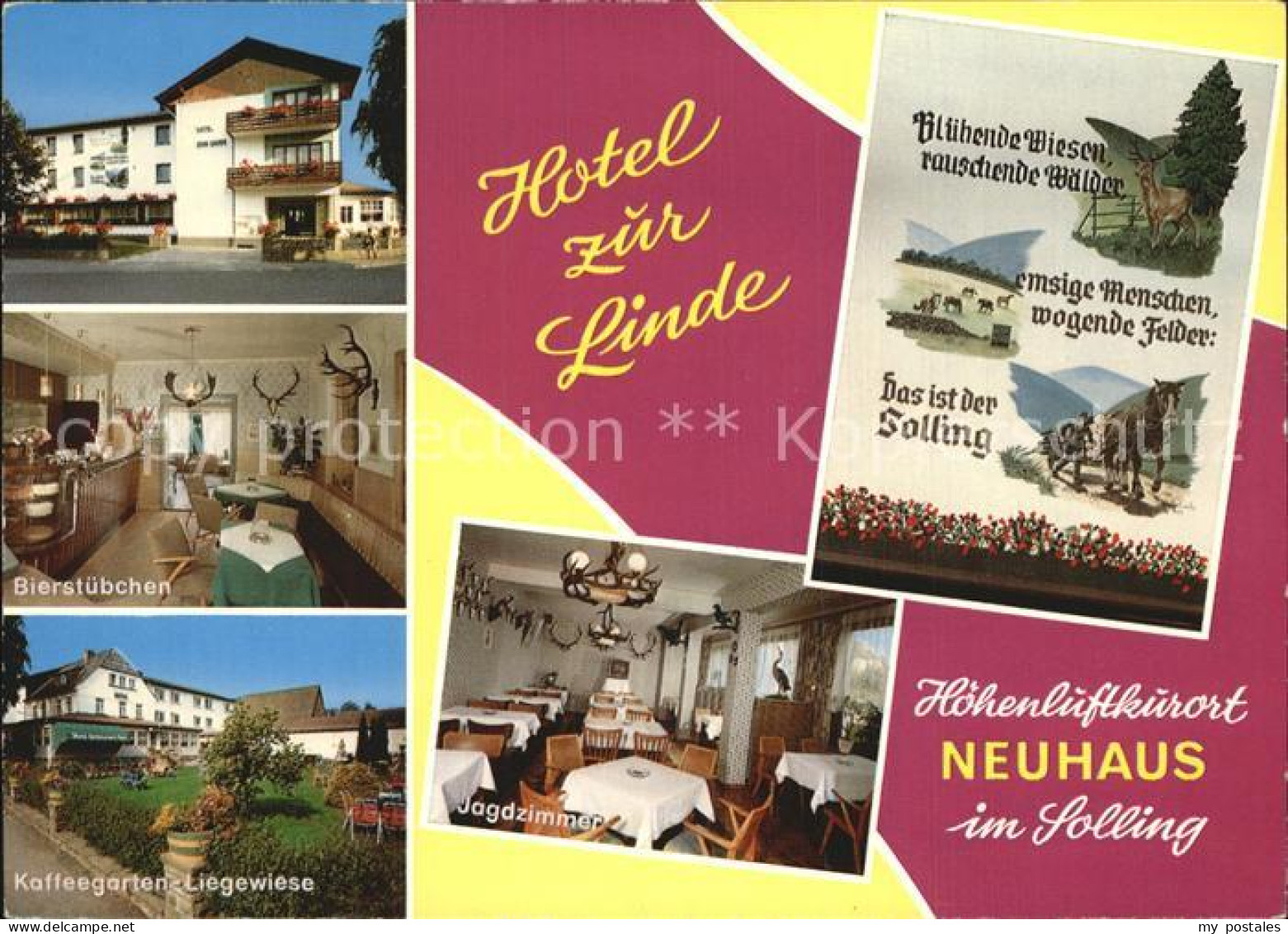 72608745 Neuhaus Solling Hotel Zur Linde Neuhaus - Holzminden