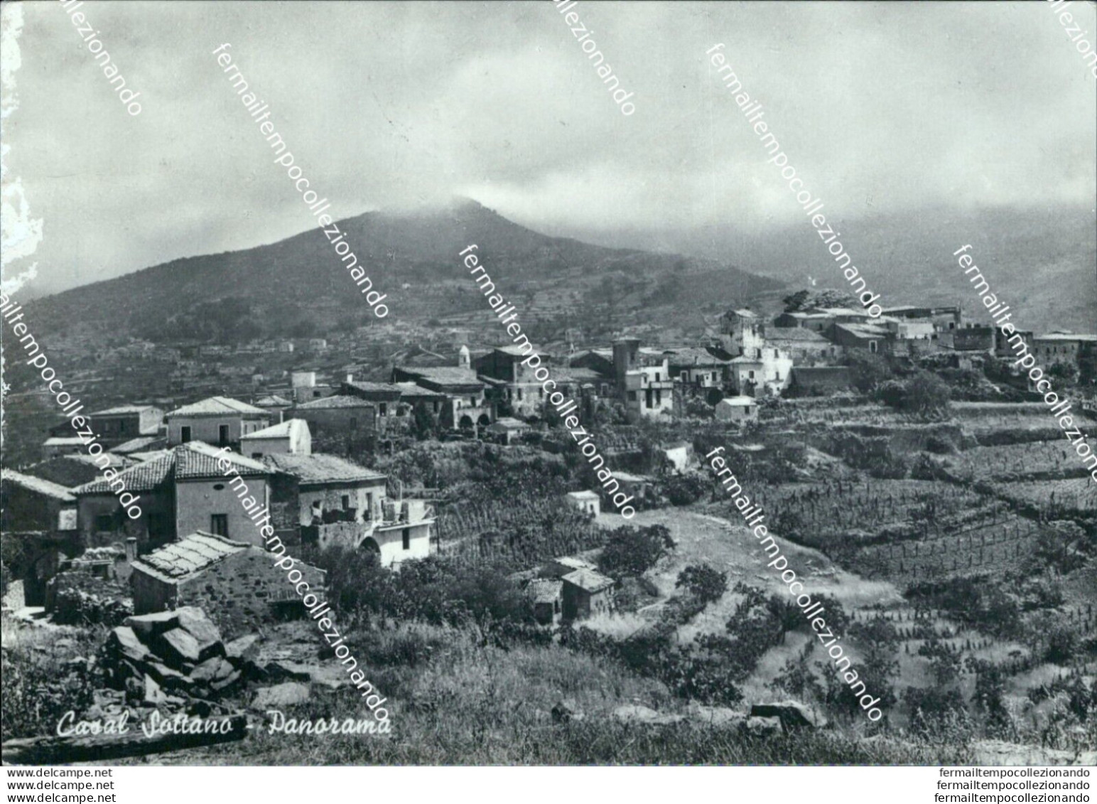 T769 Cartolina Casal Sottano Panorama Provincia Di Salerno - Salerno