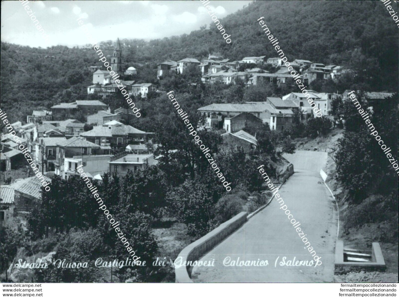 Bi497 Cartolina Strada Nuova Castiglione Dei Genovesi Calvanico Salerno - Salerno