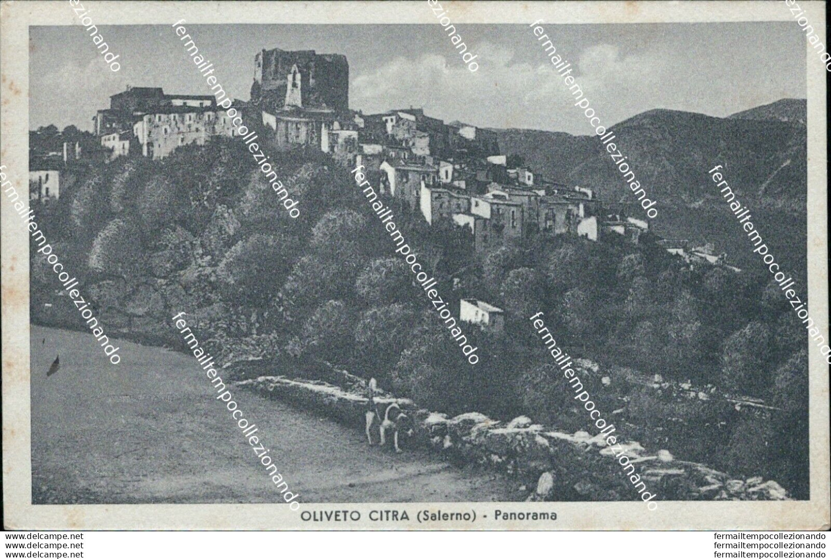 Bh215  Cartolina Olivetro Citra Panorama Provincia Di Salerno - Salerno