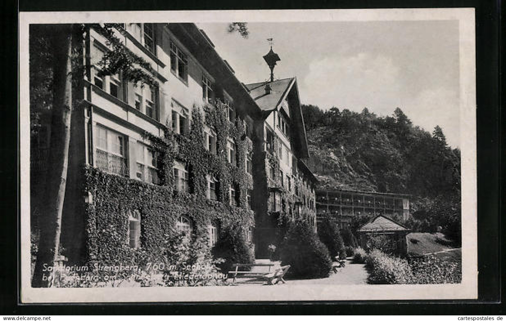 AK Puchberg, Sanatorium Strengberg Mit Begrünter Fassade  - Sonstige & Ohne Zuordnung