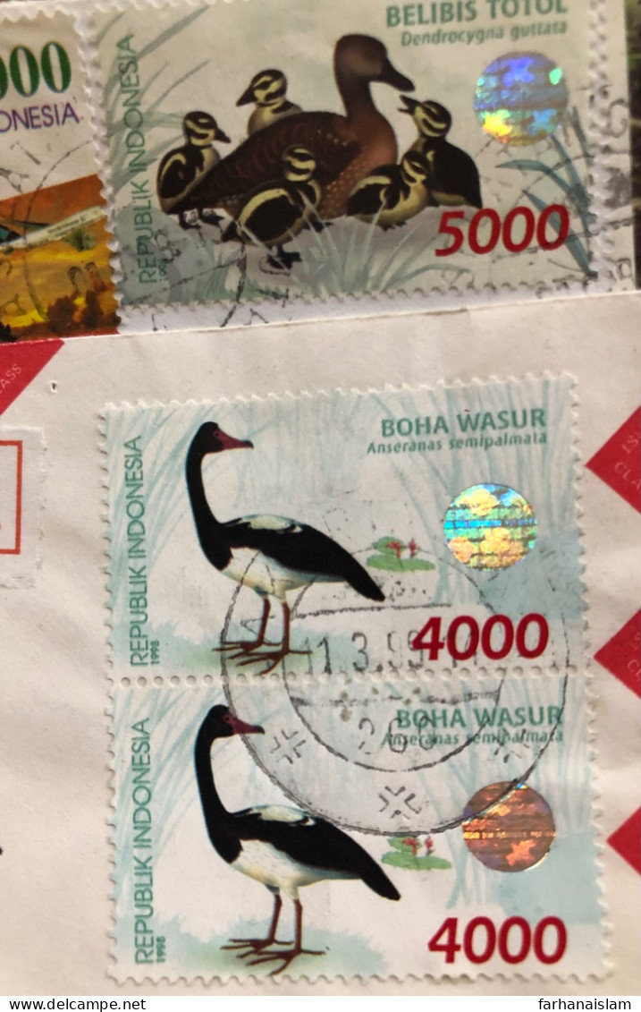 Indonesia 1999 Cover Hologram Duck Birds Odd Shape - Indonesien