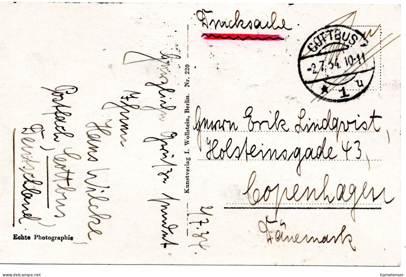 64419 - Deutsches Reich - 1934 - 2@3Pfg Kolonialforscher A AnsKte COTTBUS -> Daenemark - Lettres & Documents