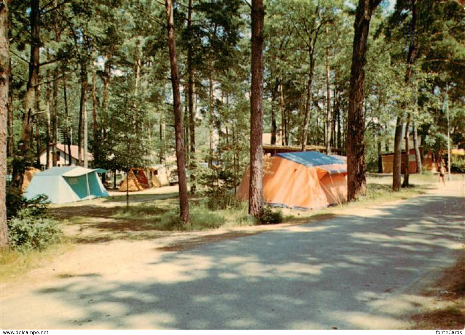 13919379 Yvonand_VD Lac De Neuchatel Camping TCS - Autres & Non Classés