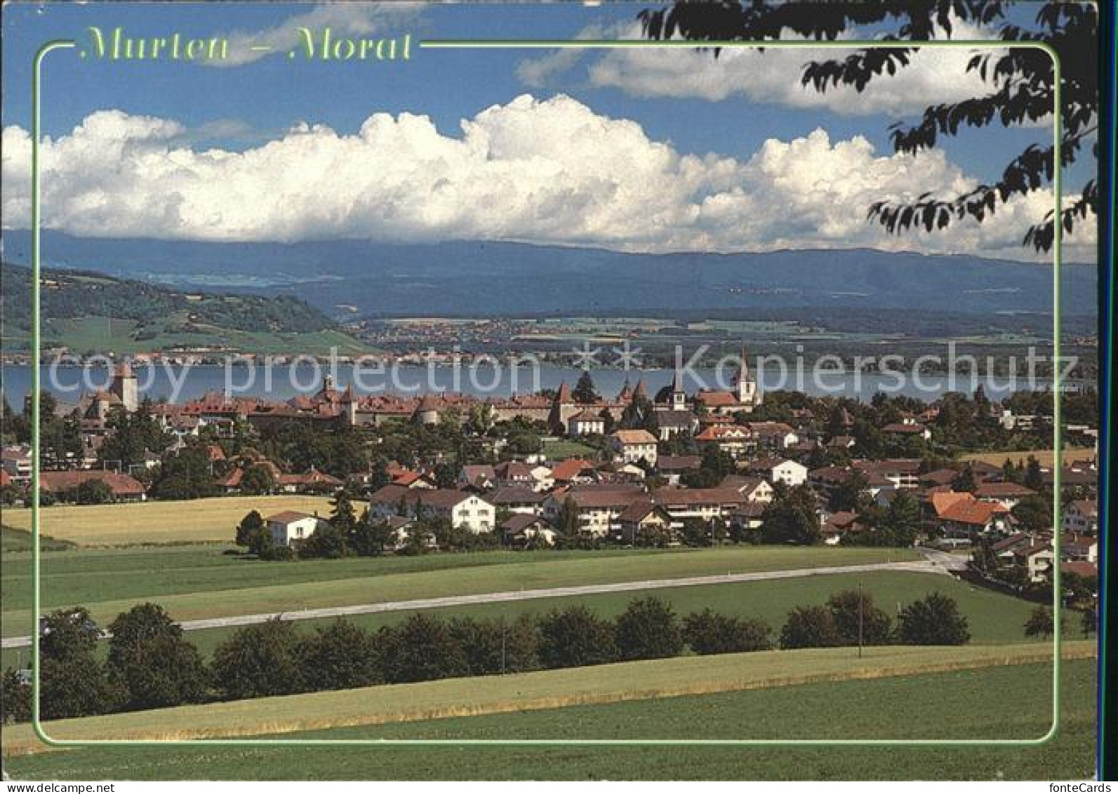 11703729 Murten Morat Panorama Murten - Other & Unclassified