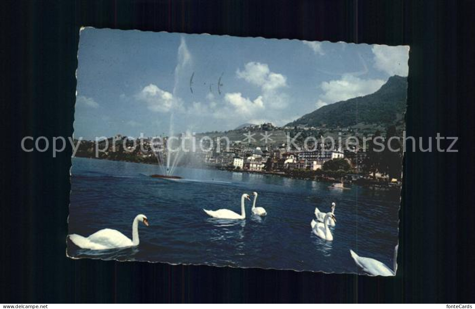 11701589 Montreux VD Le Jet D Eau Et Les Cygnes Montreux - Autres & Non Classés