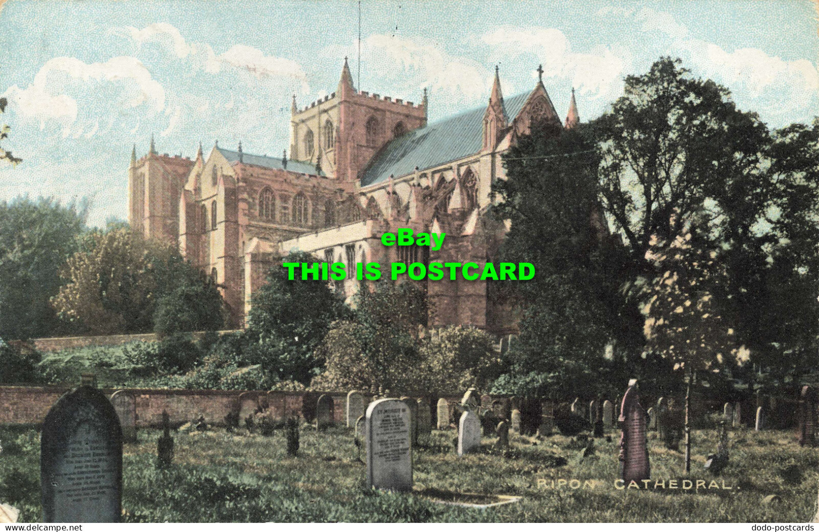 R584580 Ripon Cathedral. National Series. 1907 - Welt