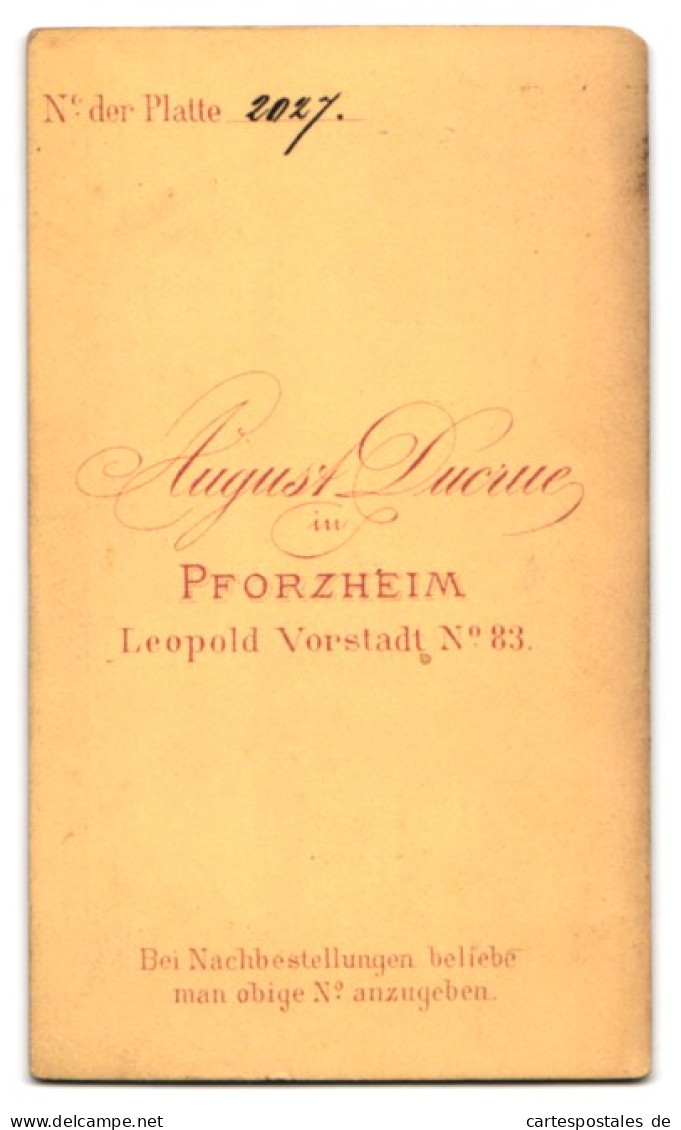 Fotografie August Ducrue, Pforzheim, Leopold Vorstadt Nr. 83, Eleganter Mann Mit Vollbart Und Fliege  - Personnes Anonymes