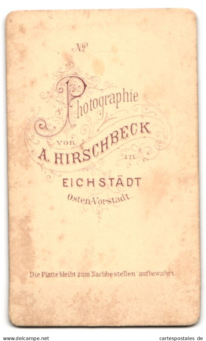 Fotografie A. Hirschbeck, Eichstädt, Schornsteinfeger / Kaminkehrer In Zunftbekleidung Mit Reinigungsbürsten, Leiter  - Professions