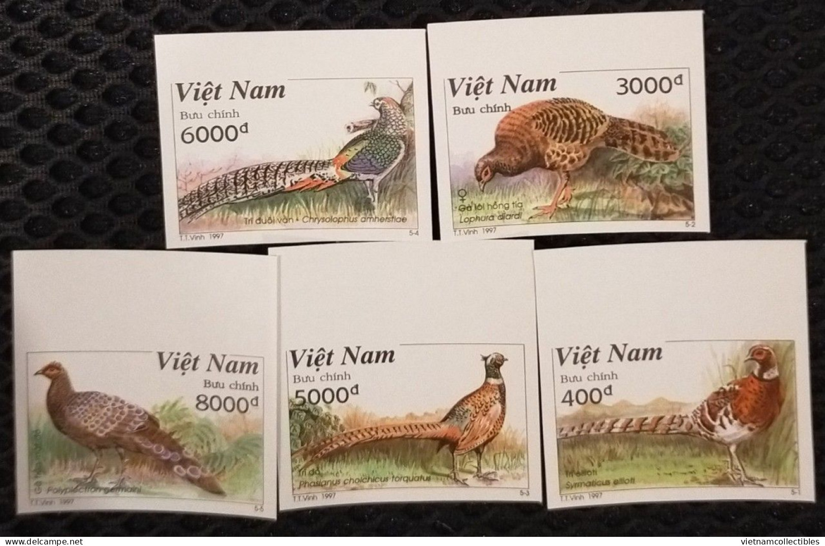 Vietnam Viet Nam MNH Imperf Stamps 1997 : Pheasant / Bird (Ms767) - Vietnam