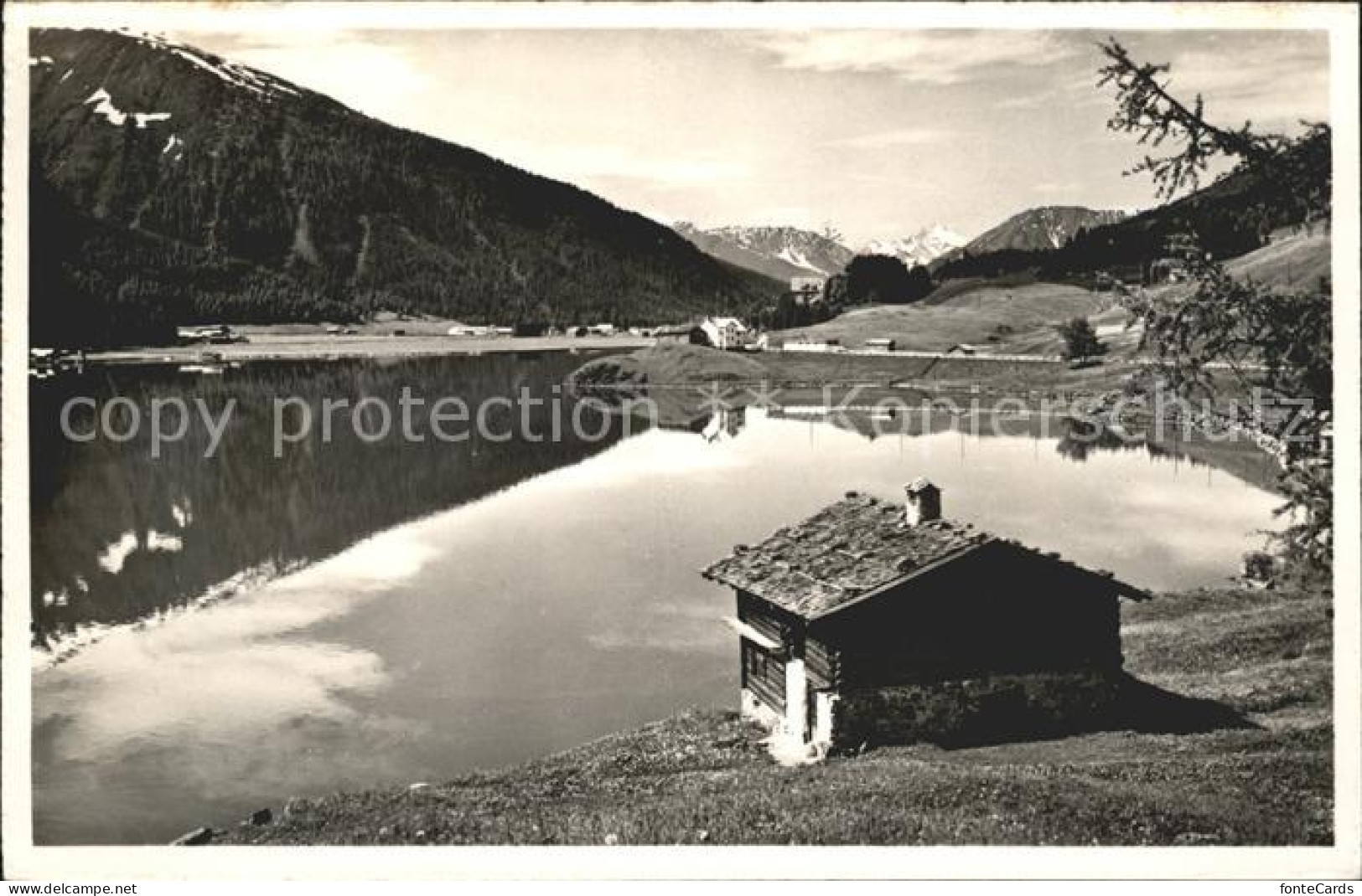 11682839 Davosersee Mit Tinzenhorn Davos - Sonstige & Ohne Zuordnung