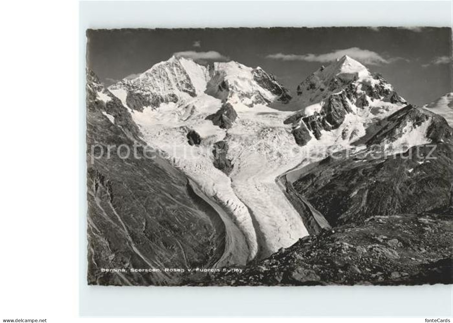 11679589 Bernina Scerscan Roseg Und Fuorcla Bernina - Sonstige & Ohne Zuordnung