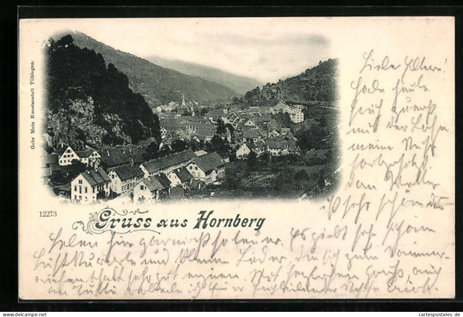 AK Hornberg, Ortsansicht Aus Der Vogelschau  - Hornberg