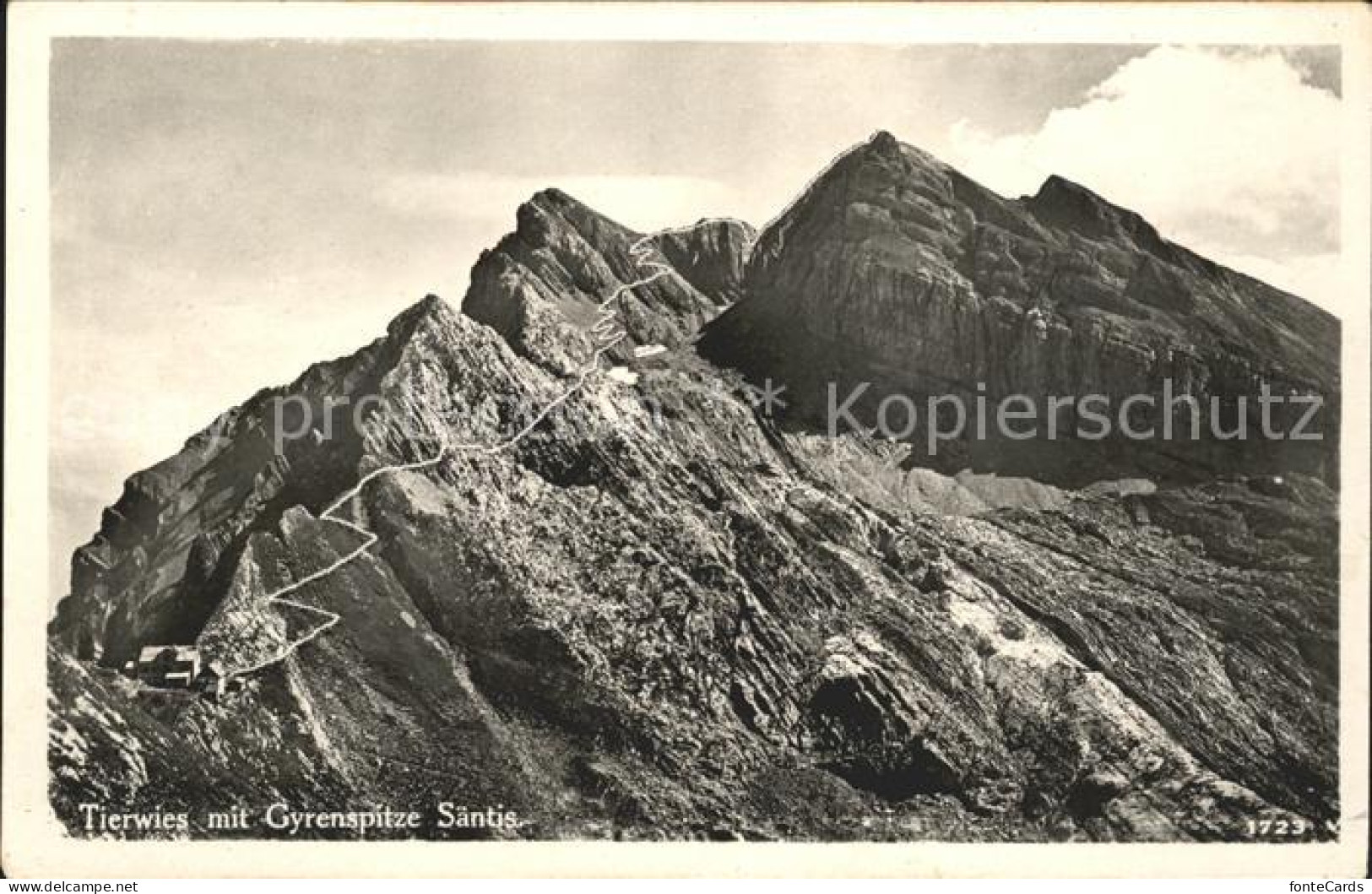 11676999 Tierwies Mit Gyrenspitze Saentis Tierwies - Sonstige & Ohne Zuordnung