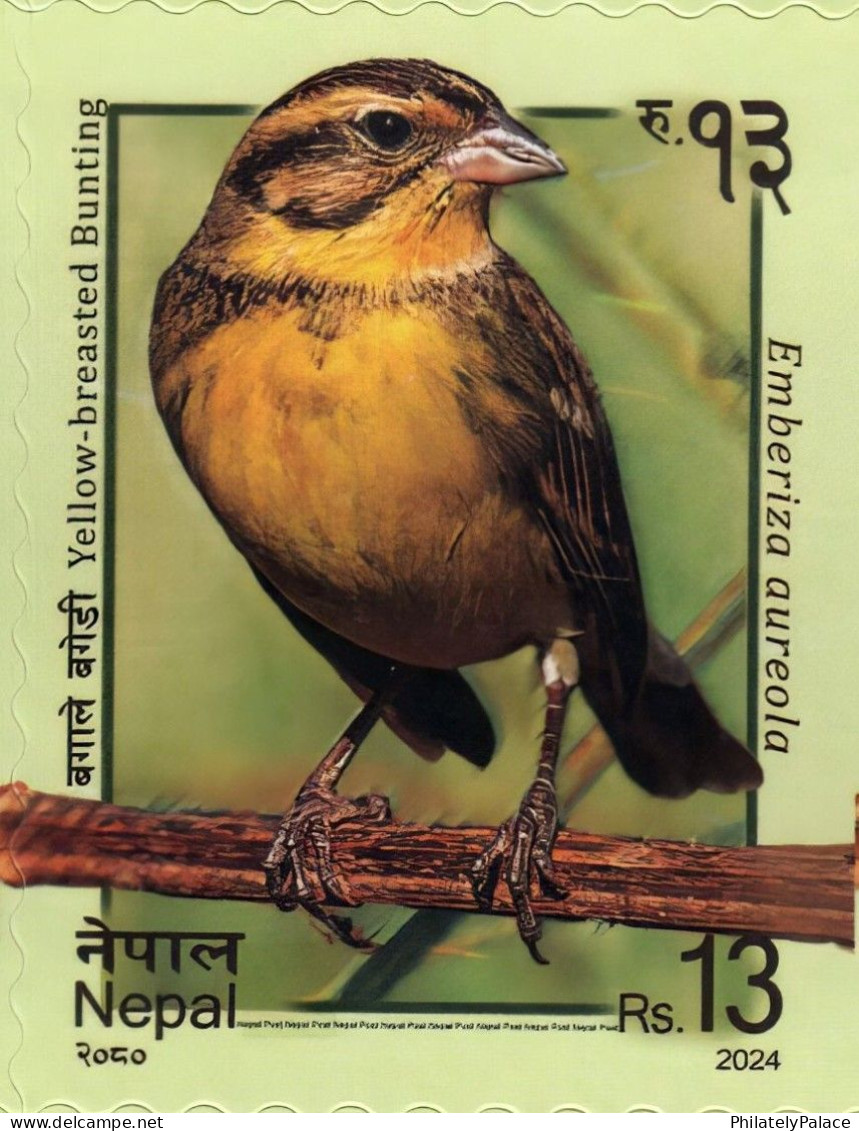 NEPAL 2024 Yellow Breasted Buntling,Bird,Aves,Animal, MNH (**) - Népal