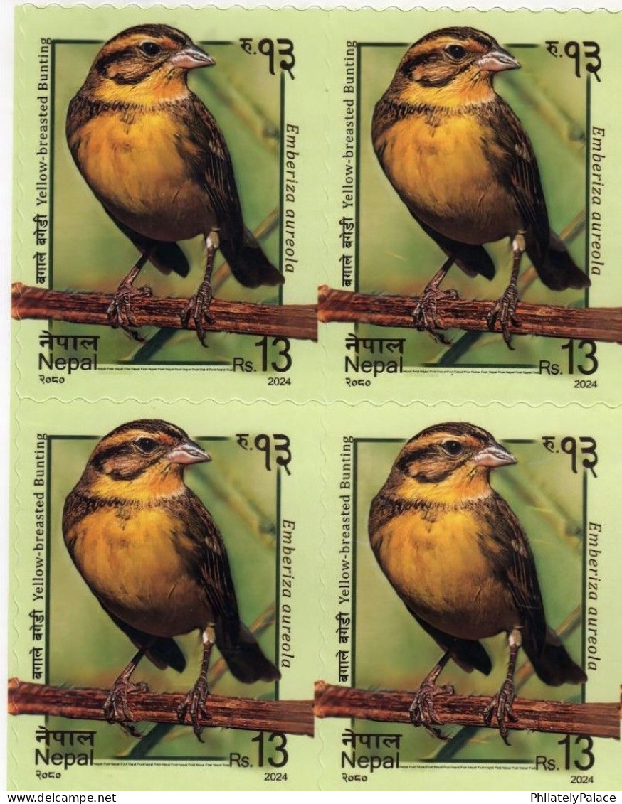 NEPAL 2024 Yellow Breasted Buntling,Bird,Aves,Animal, Block Of 4v, MNH (**) - Népal