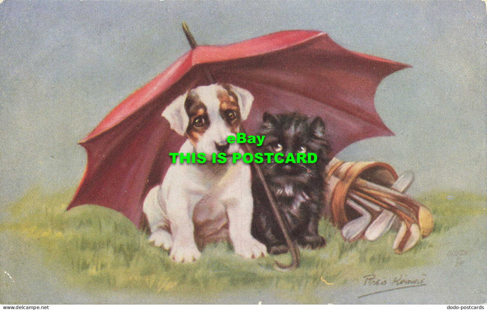 R584759 Domestic Pets. Tuck. Oilette. Postcard No. 3580 - Monde